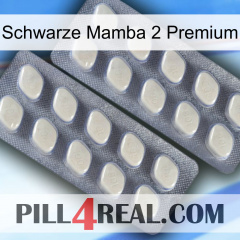 Black Mamba 2 Premium 07